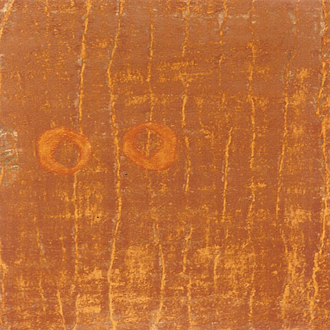 Titel: Pflanze,Tier,Mensch (Teil3) Technik: Pigmente auf Leinwand, Format: 50x50 cm